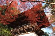 石山寺の鐘楼と紅葉