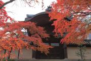 光明寺勅使門外側の紅葉