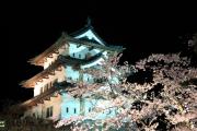 仰ぎ見る夜桜の弘前城