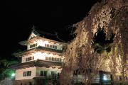 弘前城本丸と夜桜