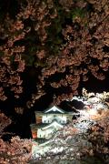 夜の弘前城に降り注ぐ枝垂れ桜