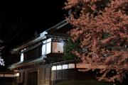 夜桜と弘前城城門
