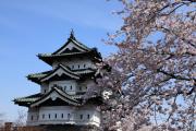 現存十二天守、弘前城と満開の桜