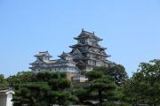 松と姫路城