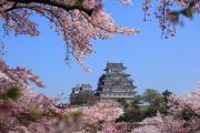 春色の姫路城