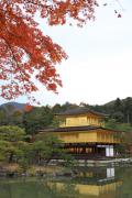 金閣寺を彩る紅葉